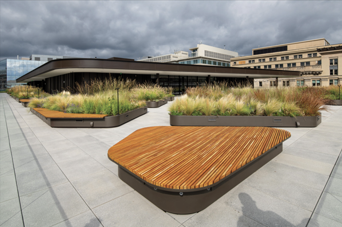 Library rooftop with greenery